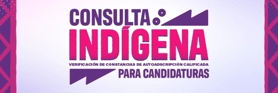 Consulta Indígena 2026